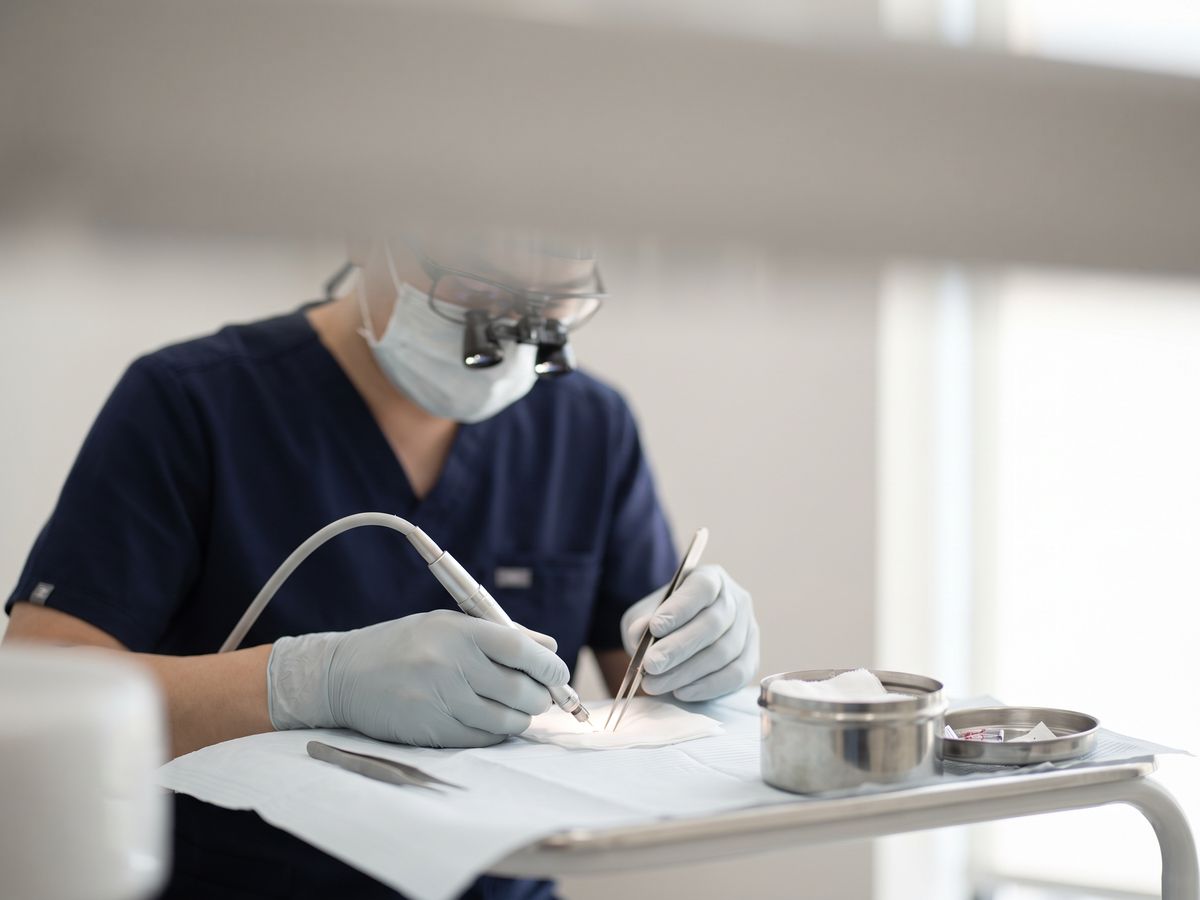 Prelievo degli innesti con ingrandimento